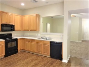 13514 Red Ear Ct in Riverview, FL - Foto de edificio - Building Photo