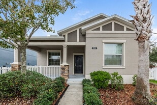 21018 Picket Fence Ct in Land O Lakes, FL - Building Photo
