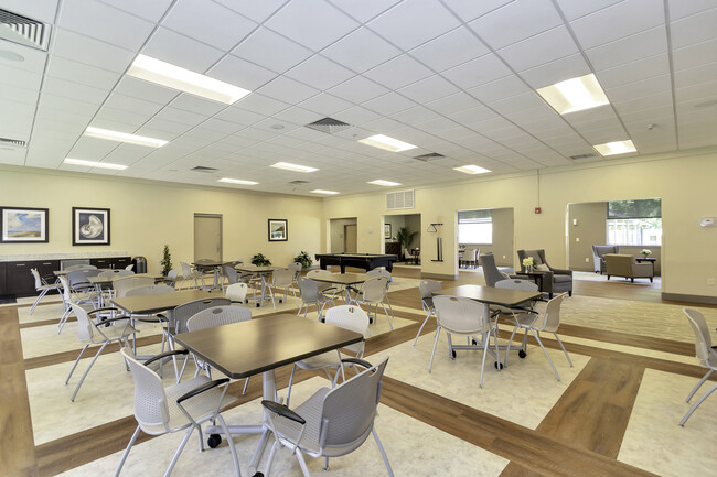 Silvertree Seniors Jacksonville in Jacksonville, FL - Building Photo - Building Photo