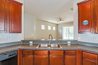 8205 Lagerfeld Dr in Land O Lakes, FL - Building Photo - Building Photo
