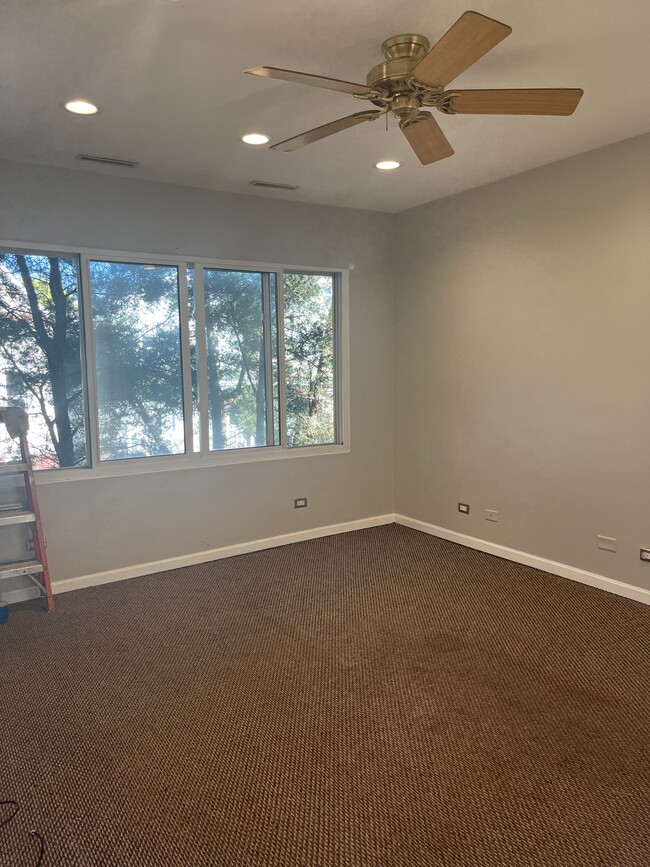 1638 N Washtenaw Ave, Unit 2 in Chicago, IL - Building Photo - Building Photo