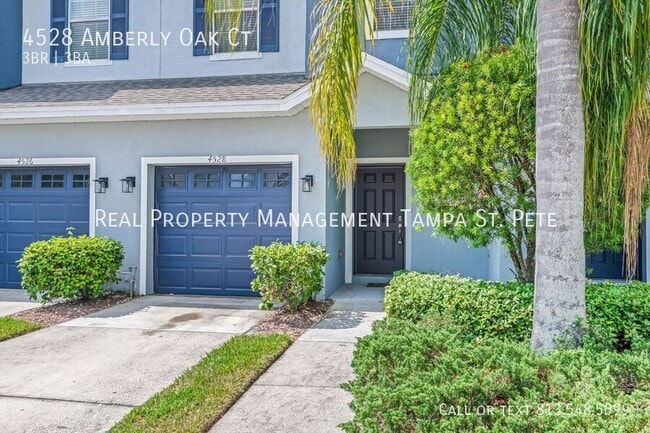 4528 Amberly Oaks Ct in Tampa, FL - Foto de edificio - Building Photo