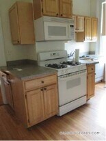 95 Upland Rd, Unit 1 in Cambridge, MA - Building Photo