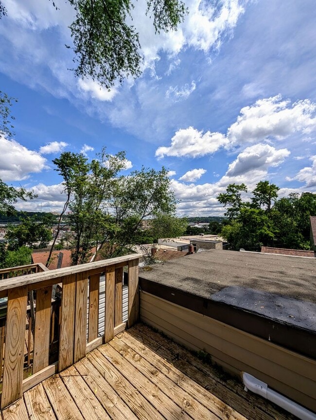 20 Eleanor St in Pittsburgh, PA - Building Photo - Building Photo