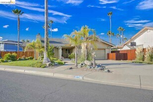 5545 Drakes Ct in Discovery Bay, CA - Building Photo