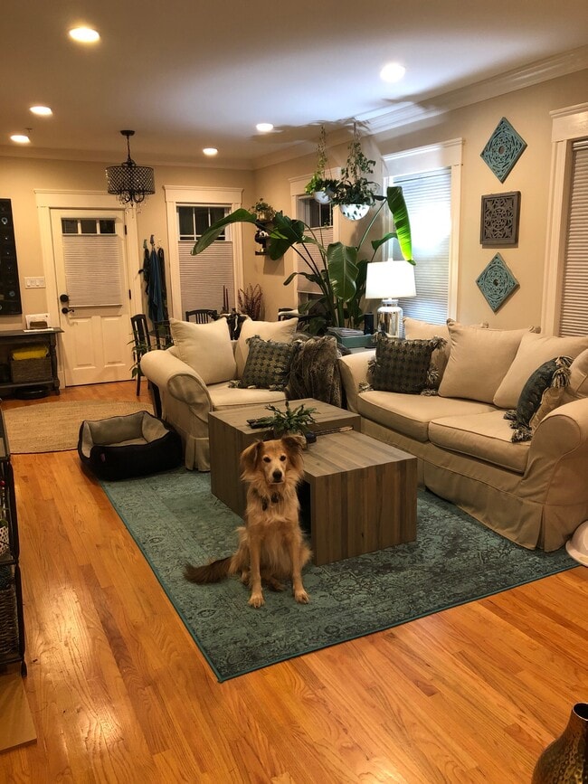 147 Hudson St, Unit 1 in Somerville, MA - Building Photo - Building Photo