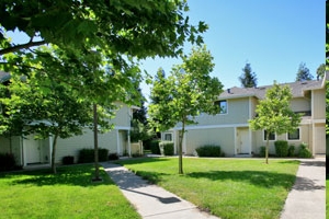 Forest Winds Apartments in Windsor, CA - Building Photo - Building Photo