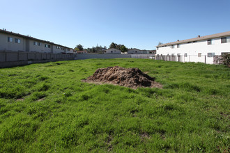 Laurel Street Apartments in Lakeside, CA - Building Photo - Building Photo