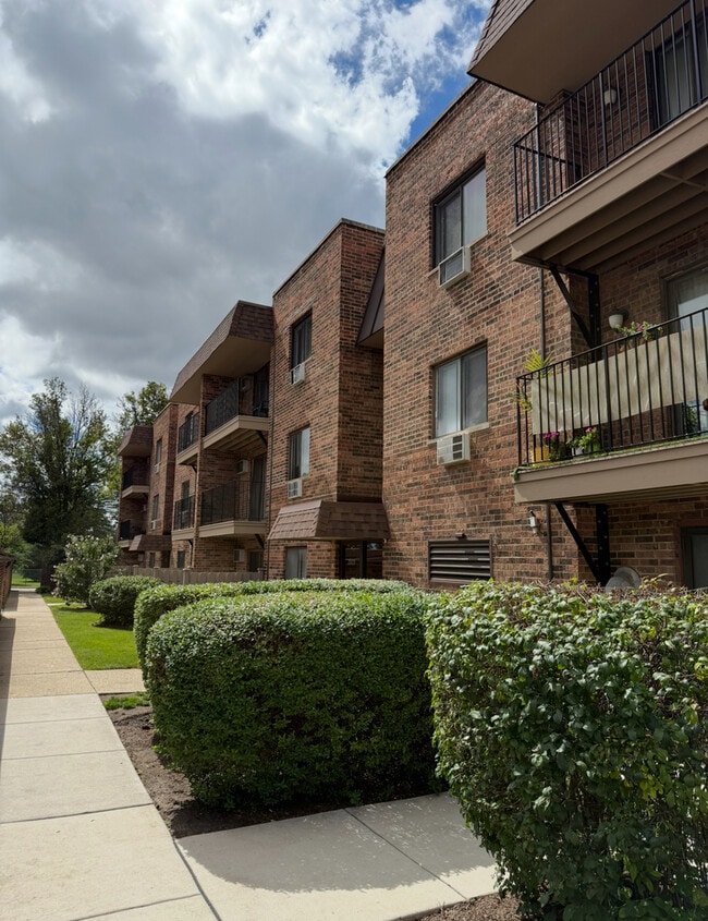 3515 Central Rd in Glenview, IL - Building Photo - Building Photo
