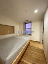 115 Mt Auburn St in Cambridge, MA - Building Photo - Building Photo