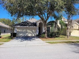30741 Pumpkin Ridge Dr in Wesley Chapel, FL - Building Photo