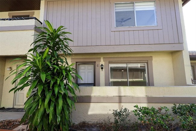 2913 Lichen Ln in Clearwater, FL - Building Photo - Building Photo