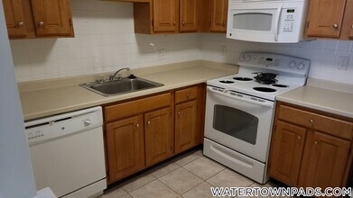 245 Main St in Watertown, MA - Foto de edificio - Building Photo