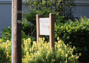 Willow Oaks in Charleston, SC - Foto de edificio - Building Photo