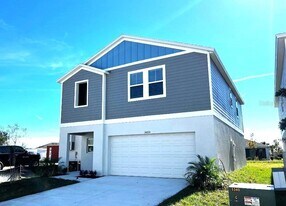 34200 Scarlet Sage Ct in Wesley Chapel, FL - Building Photo