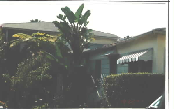 309 Cypress Dr in Laguna Beach, CA - Building Photo