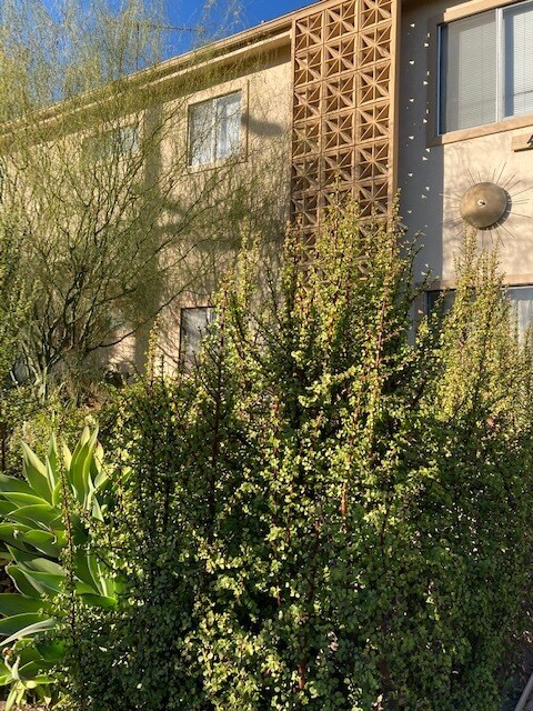 4401 Clayton Ave in Los Angeles, CA - Building Photo