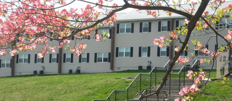 Hanover Village Apartments in Wilkes-Barre, PA - Building Photo