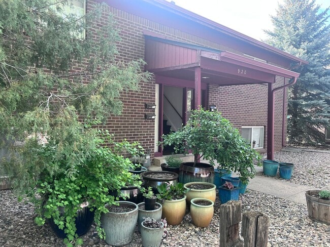 920 James Ct in Fort Collins, CO - Building Photo - Building Photo