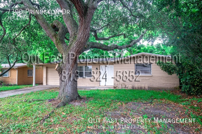 7300 Princeton Dr in Hudson, FL - Building Photo - Building Photo