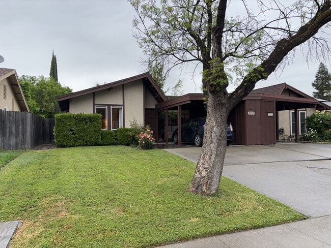 3317 Biscayne Bay Pl in Davis, CA - Building Photo - Building Photo