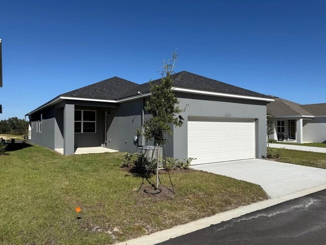 536 Green Tracker Ave in Clermont, FL - Foto de edificio - Building Photo