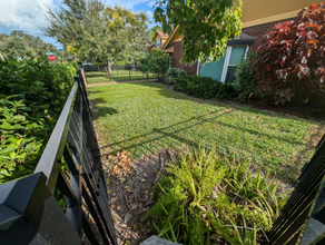 557 Wilkie St in Dunedin, FL - Foto de edificio - Building Photo