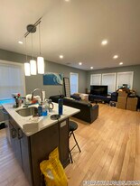 31-33 Thornton St. in Boston, MA - Building Photo