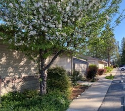 Springhill Gardens Apartments in Grass Valley, CA - Foto de edificio - Building Photo