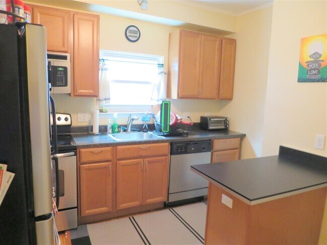 11 Burnside Ave, Unit 1 in Somerville, MA - Building Photo - Building Photo