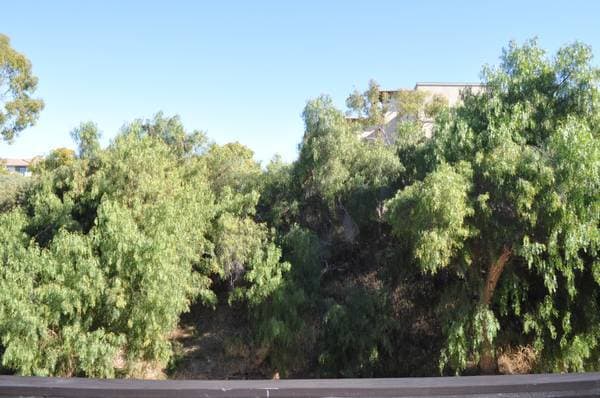 8085 Caminito de Pizza, Unit p in San Diego, CA - Building Photo - Building Photo