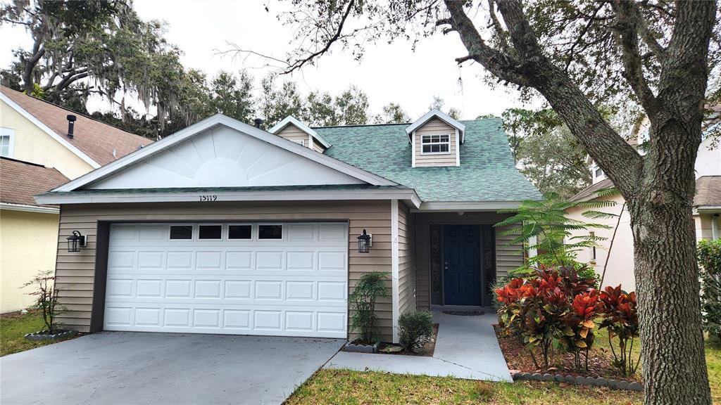 15119 Deer Meadow Dr in Lutz, FL - Building Photo