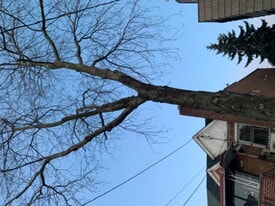 45-45-4159 159th St in Queens, NY - Building Photo