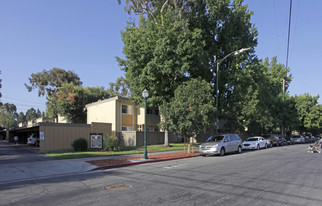 Trestles Apartments in San Jose, CA - Building Photo