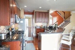 22279 Rampsbeck Terrace in Ashburn, VA - Building Photo