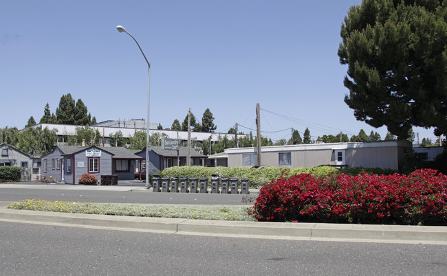 San Leandro Court in San Leandro, CA - Foto de edificio - Building Photo