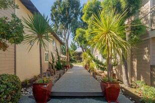 Park Square Apartments in Mountain View, CA - Building Photo