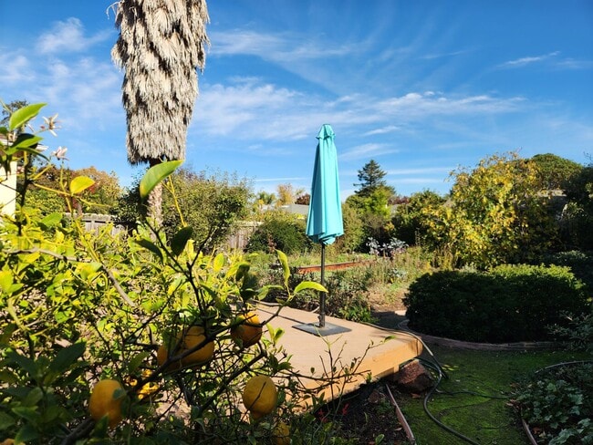 22 Yarnall Pl in Redwood City, CA - Building Photo - Building Photo