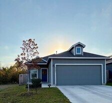 2821 Dezmond Diamond Ct in Pflugerville, TX - Building Photo