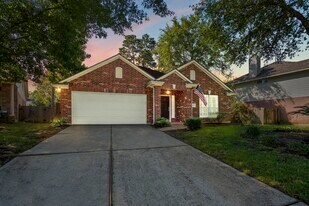 15 Heron Hollow Ct in Spring, TX - Building Photo