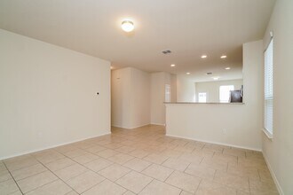 448 Nova Zembla in New Braunfels, TX - Building Photo - Building Photo