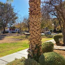 342 Greenbriar Townhouse Way in Las Vegas, NV - Building Photo - Building Photo