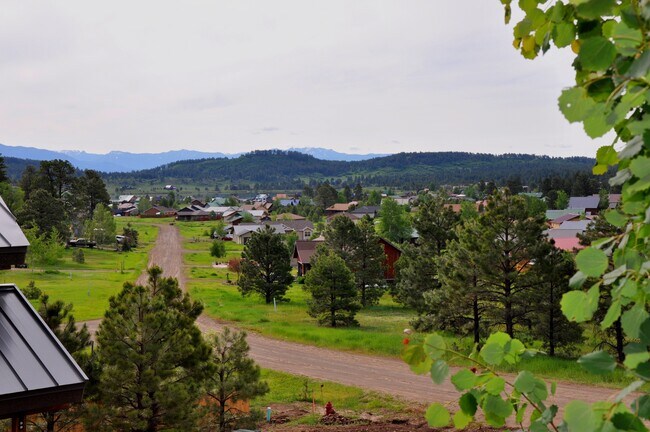 1034 Hills Cir in Pagosa Springs, CO - Building Photo - Building Photo