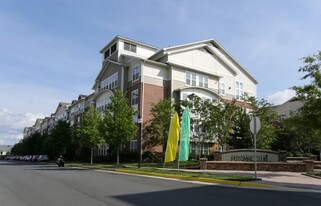 The Enclave at Potomac Club in Woodbridge, VA - Building Photo