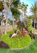 937 Coolidge St-Unit -A in Honolulu, HI - Building Photo - Building Photo