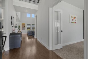 913 Gingham St in Frisco, TX - Building Photo