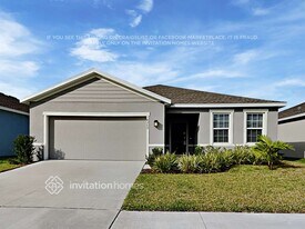 18269 Falling Pine Needle Ln in Land O Lakes, FL - Building Photo