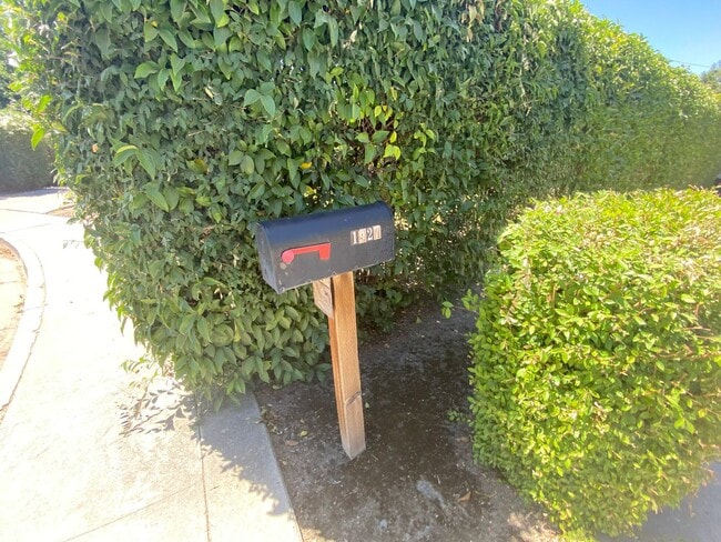 1927 S Julieann Ct in Visalia, CA - Building Photo - Building Photo