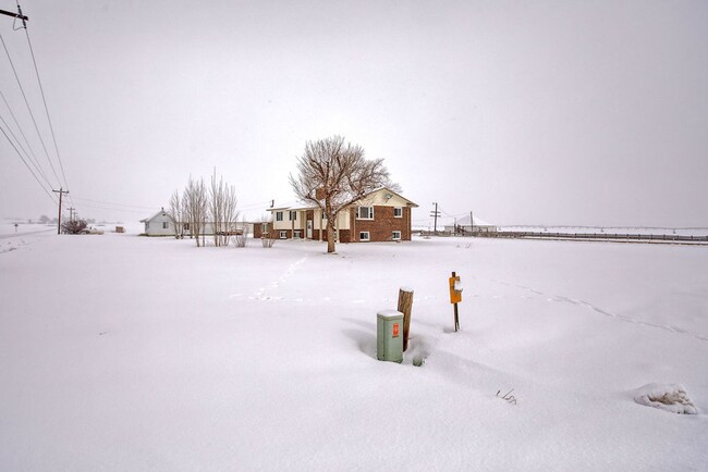 3041 Co Rd 46 in Berthoud, CO - Building Photo - Building Photo