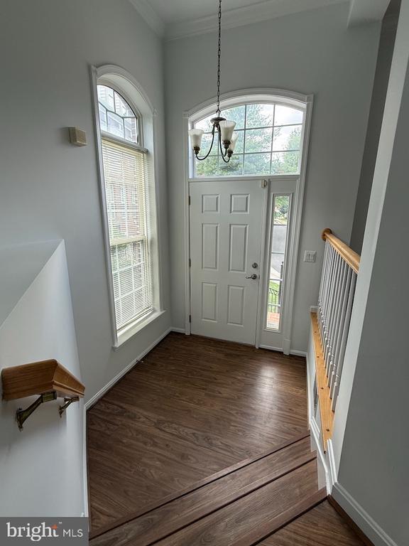 2431 Cypress Green Ln in Herndon, VA - Building Photo - Building Photo